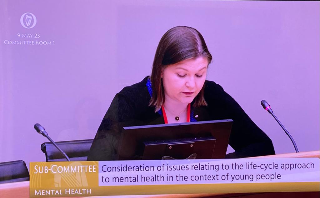 USI speaks at Oireachtas sub-Committee on Student Mental Health